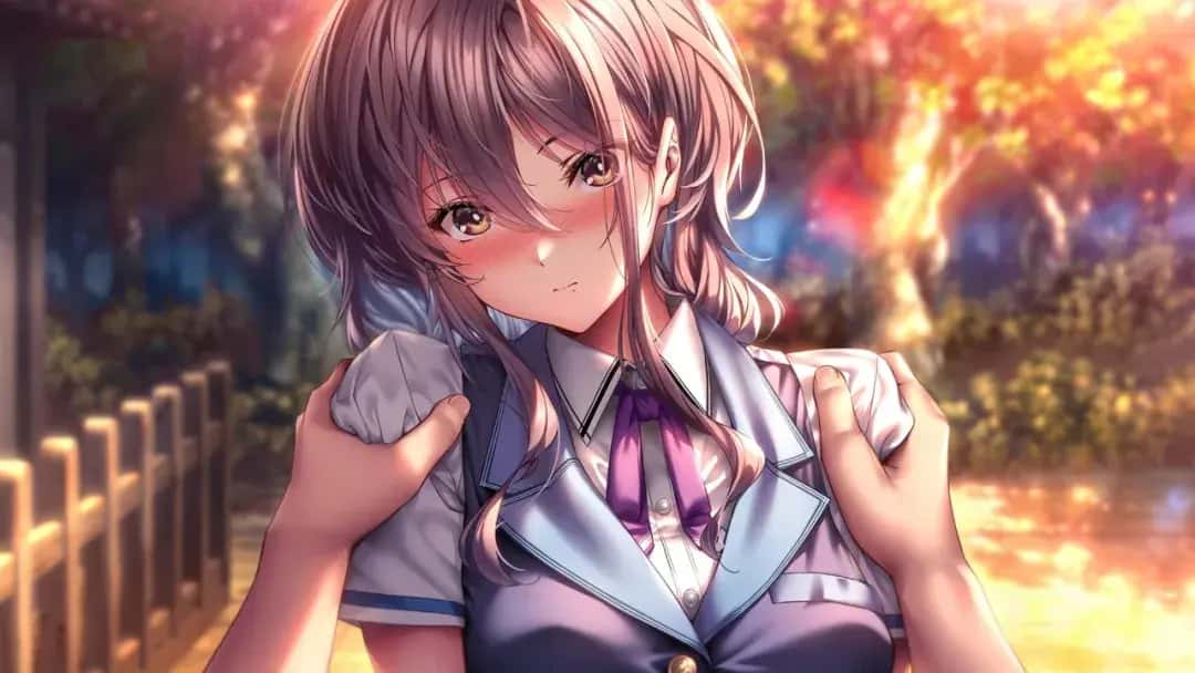 视觉数据4